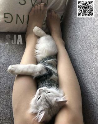 朋友的朋友2