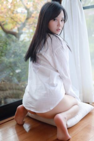 电影诱人的飞行