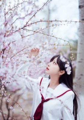 幸福攻略 电视剧免费观看